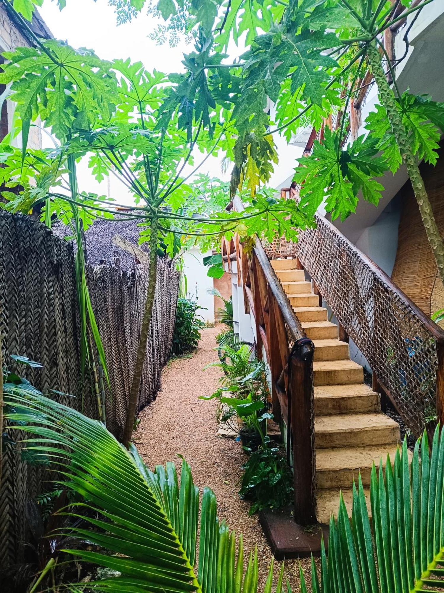 Mgongo Tree House * Jambiani (Zanzibar)