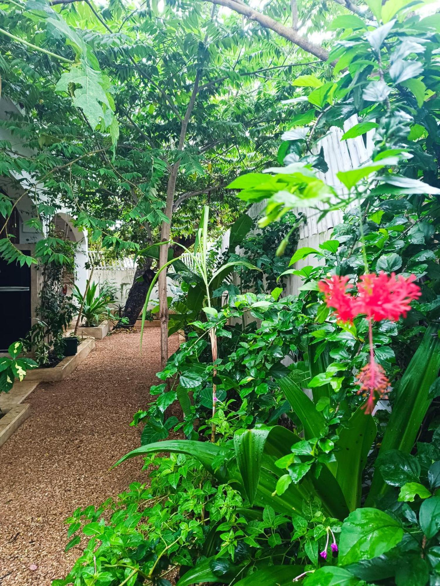 Mgongo Tree House Jambiani (Zanzibar)